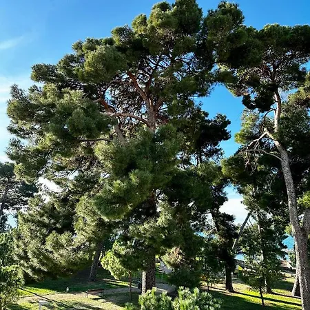 Lora Deluxe Superior 5 Star Apartment, Your Piece Of Heaven By The Sea & Park With Sea & Park View Novigrad  Exterior photo