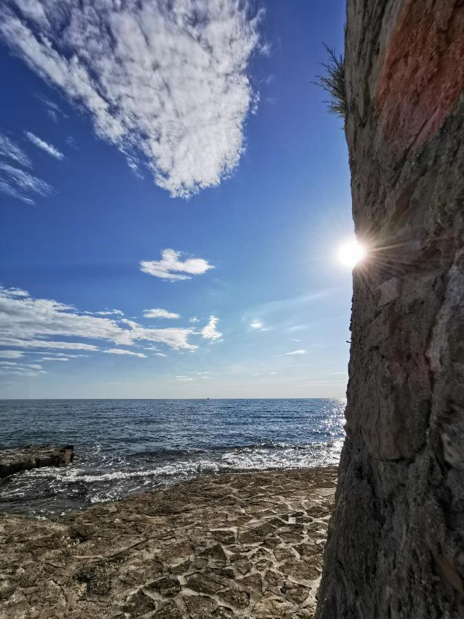 Lora Deluxe Superior 5 Star Apartment, Your Piece Of Heaven By The Sea & Park With Sea & Park View Novigrad (Istria)